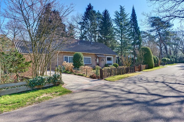 Photo 64 of Brederodelaan 16