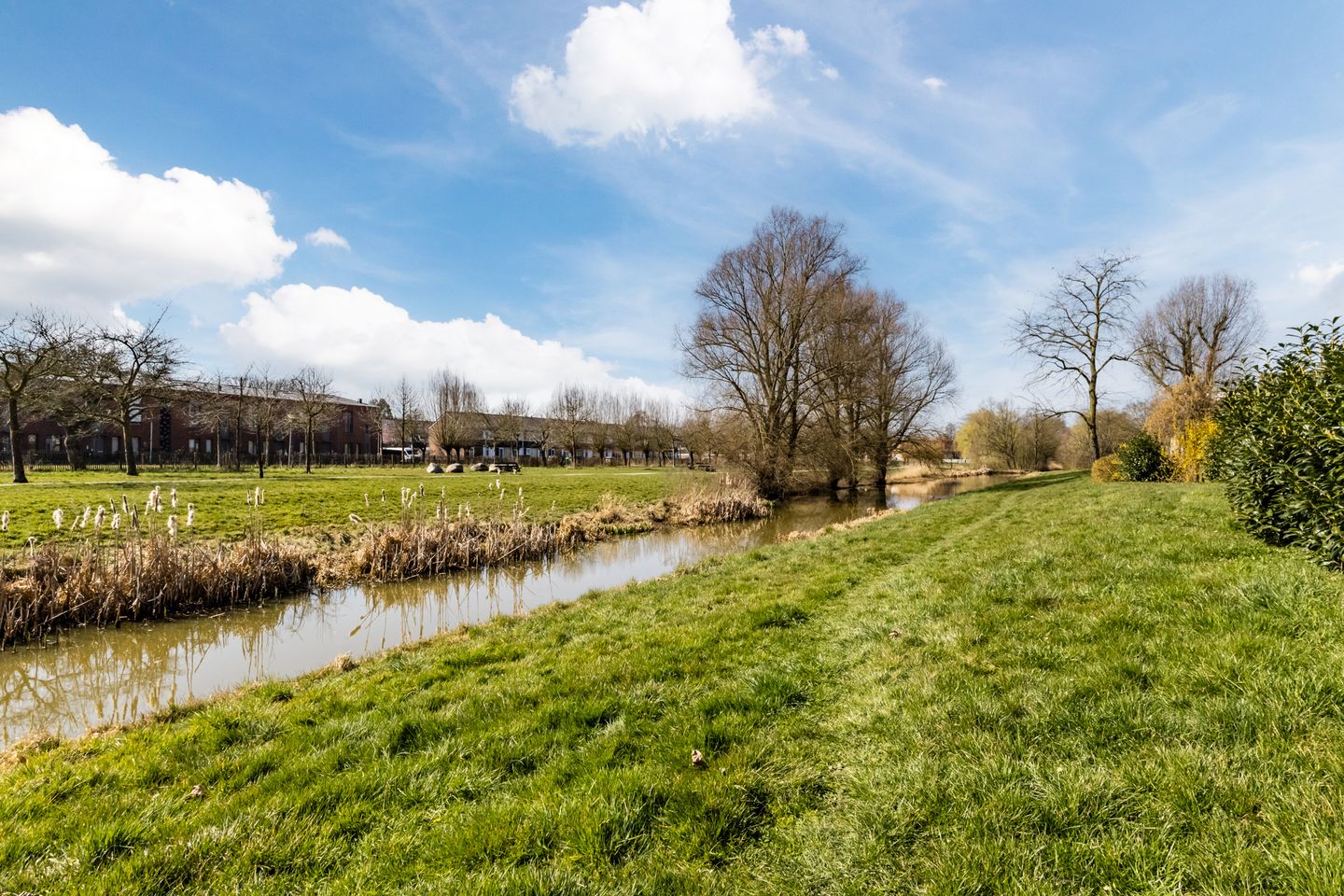 Photo 40 of Eltingerhof 117