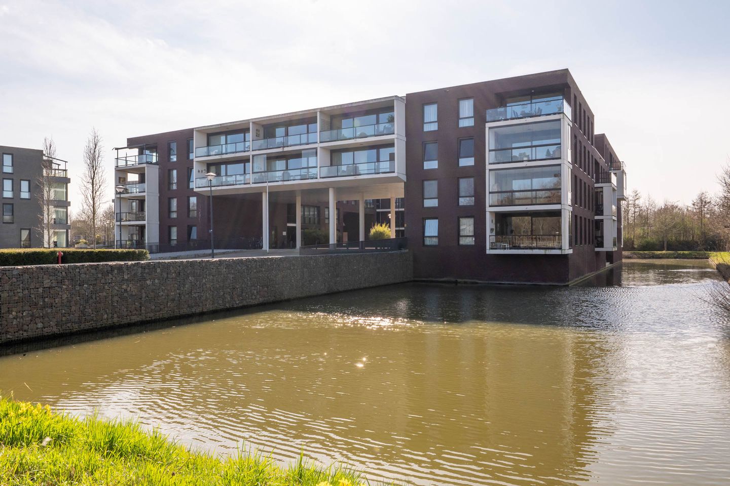 Foto 5 van IJsvogel 18