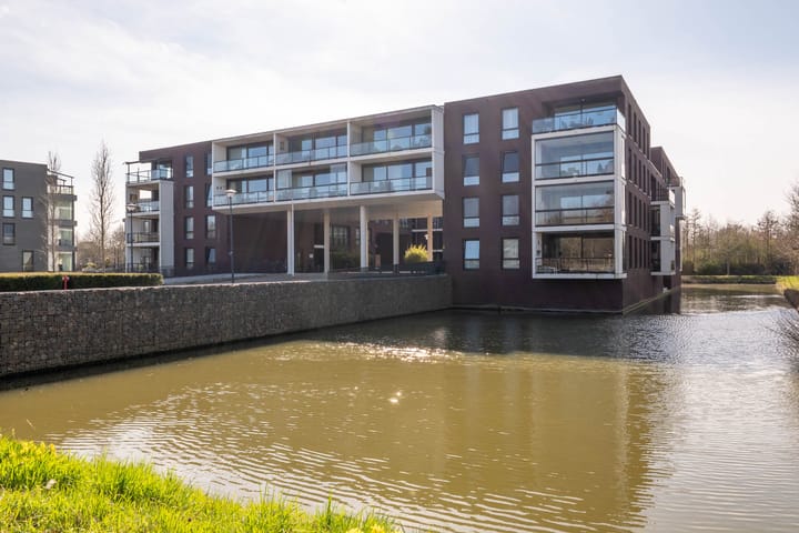 Foto 5 van IJsvogel 18