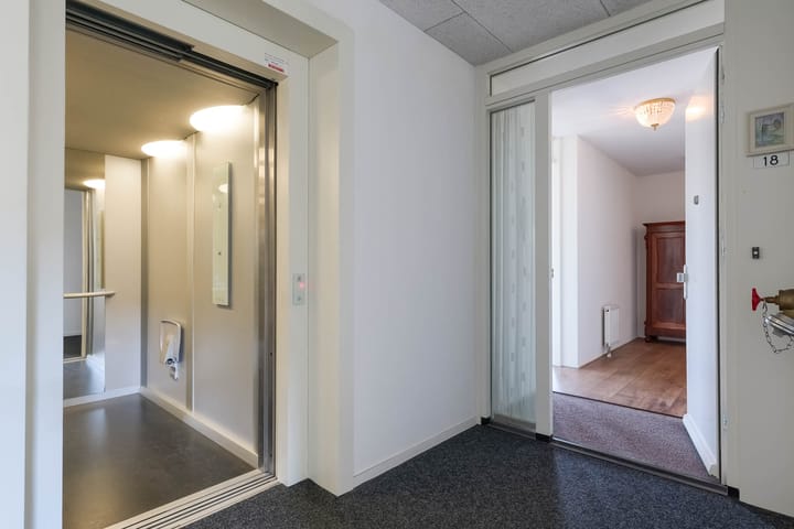 Foto 6 van IJsvogel 18