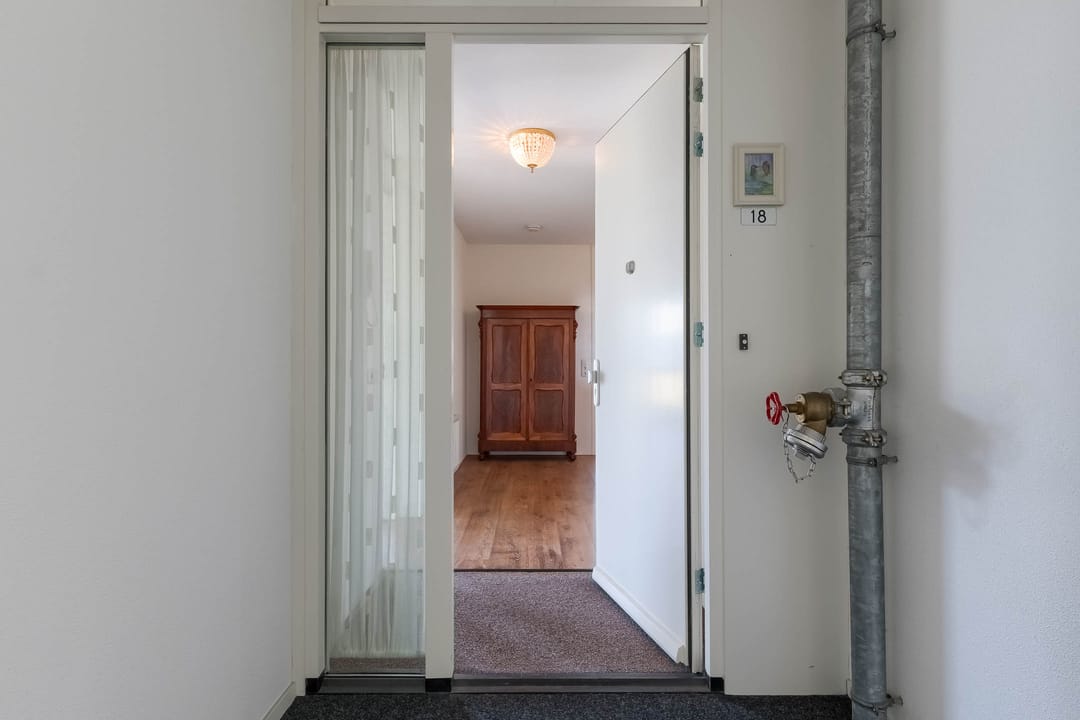 Foto 7 van IJsvogel 18