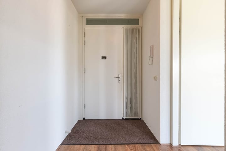 Foto 8 van IJsvogel 18