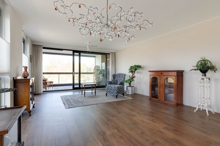 Foto 10 van IJsvogel 18