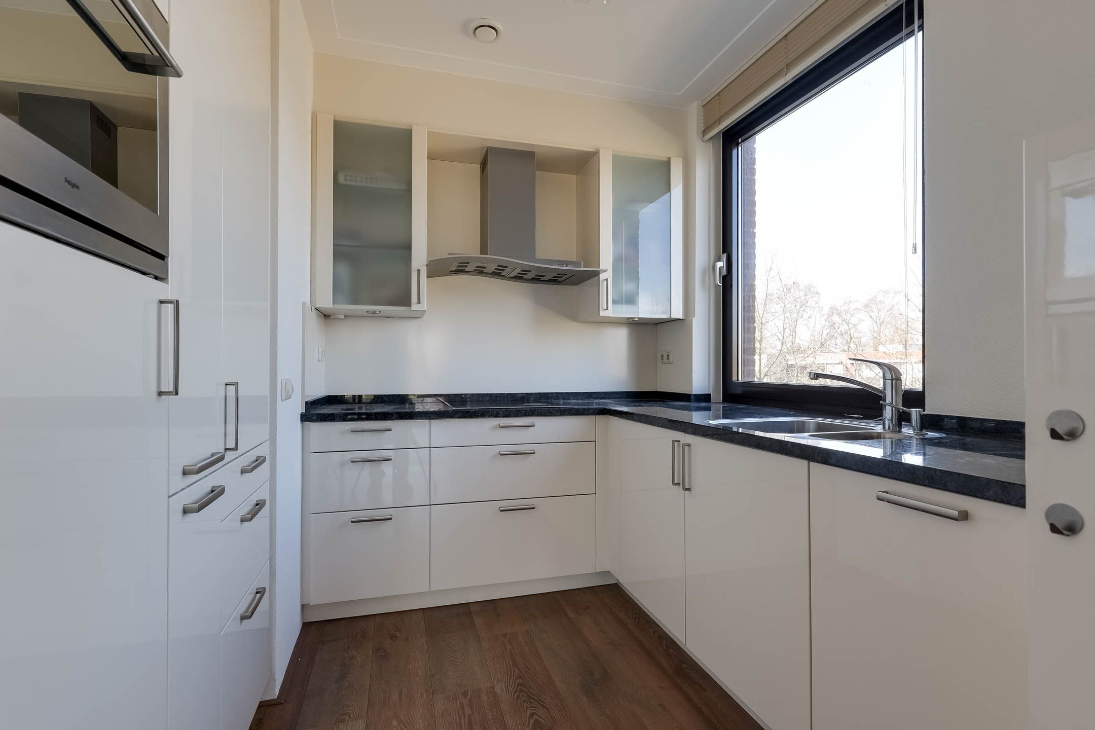 Foto 18 van IJsvogel 18