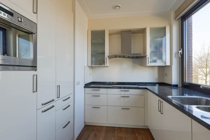 Foto 19 van IJsvogel 18