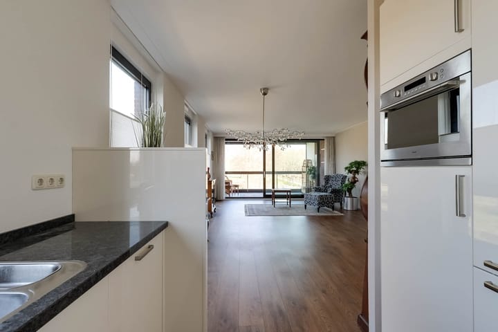 Foto 20 van IJsvogel 18