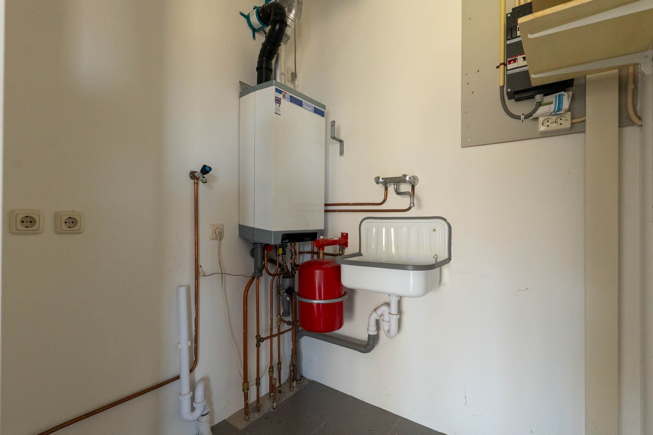 Foto 21 van IJsvogel 18