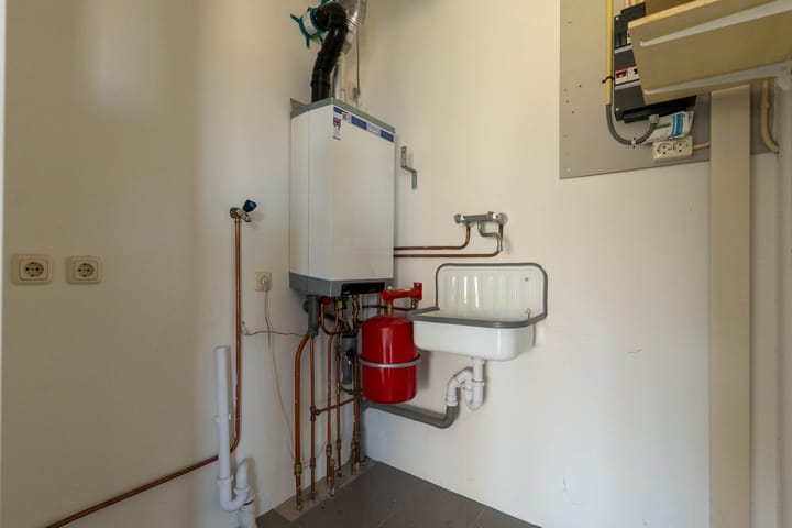 Foto 21 van IJsvogel 18