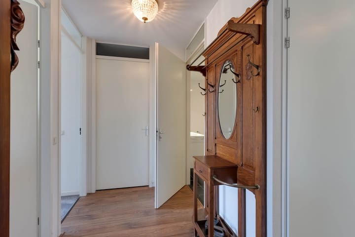 Foto 23 van IJsvogel 18