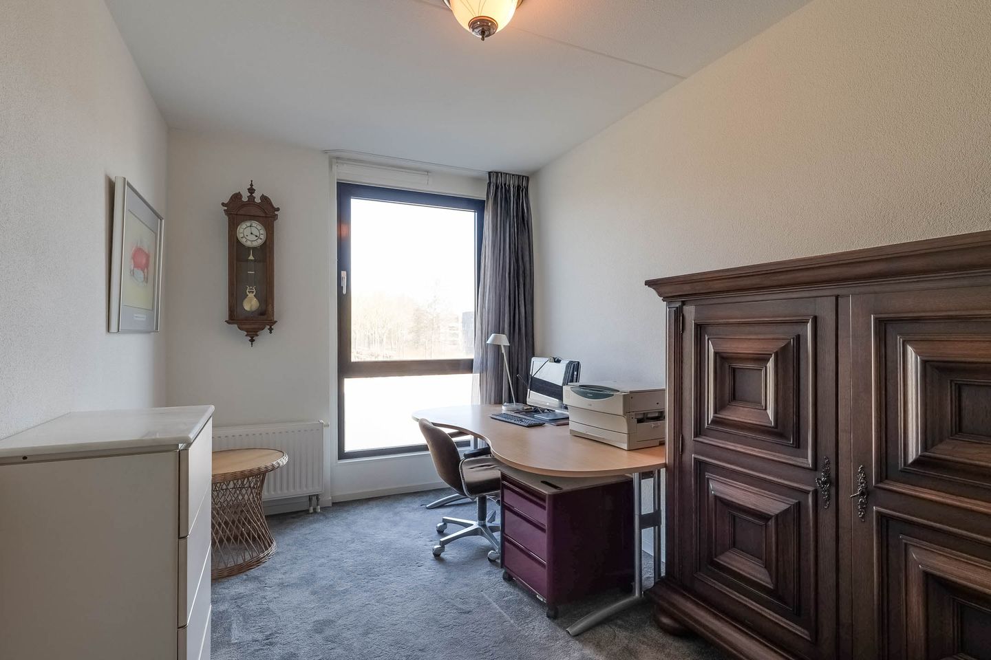 Foto 25 van IJsvogel 18