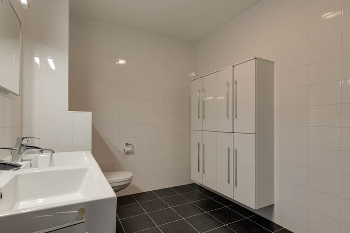 Foto 30 van IJsvogel 18