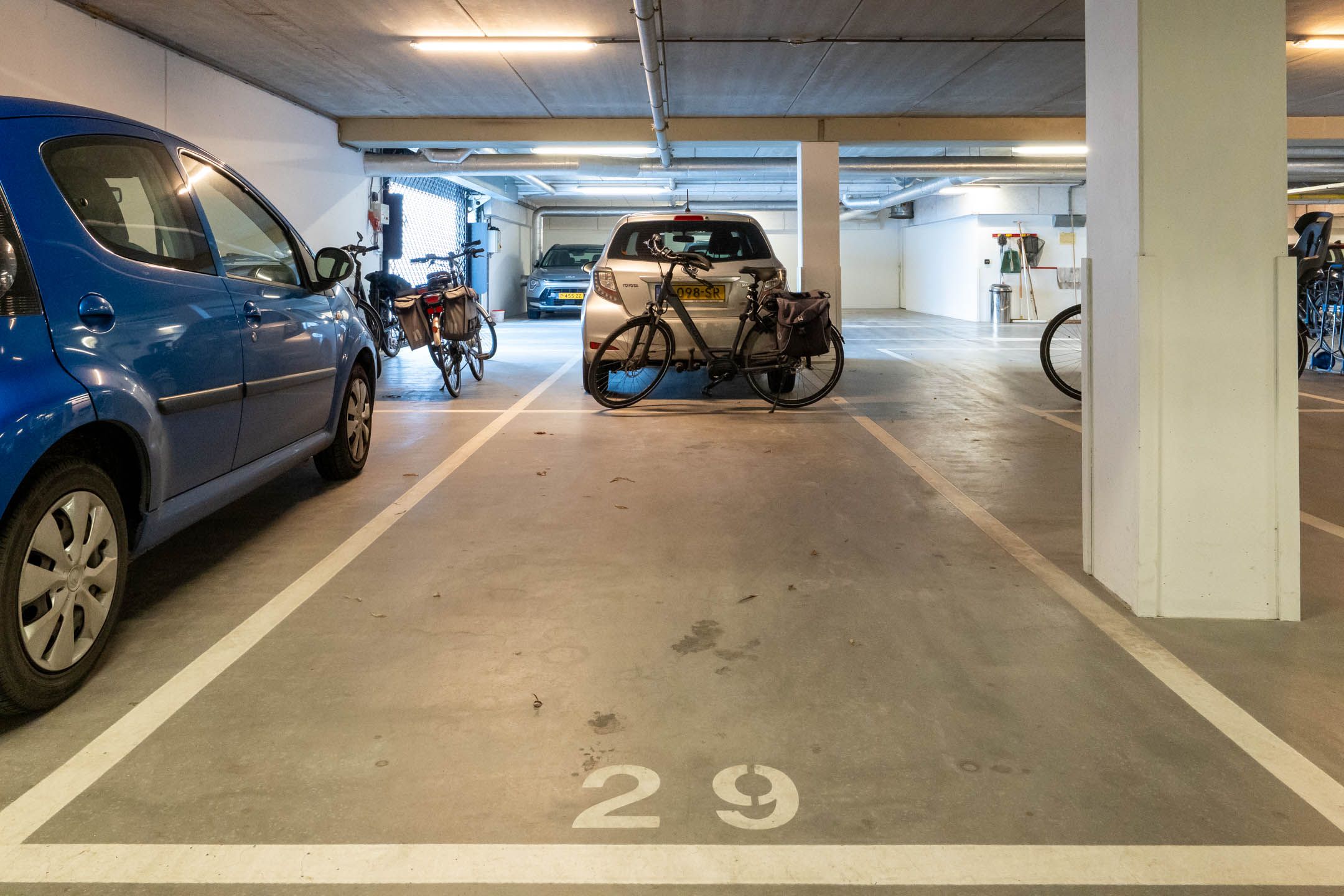 Foto 33 van IJsvogel 18