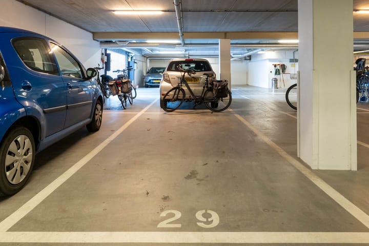 Foto 33 van IJsvogel 18