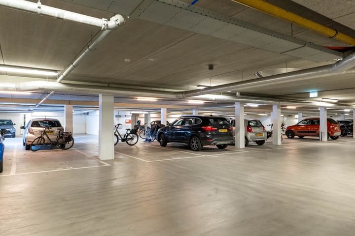 Foto 34 van IJsvogel 18