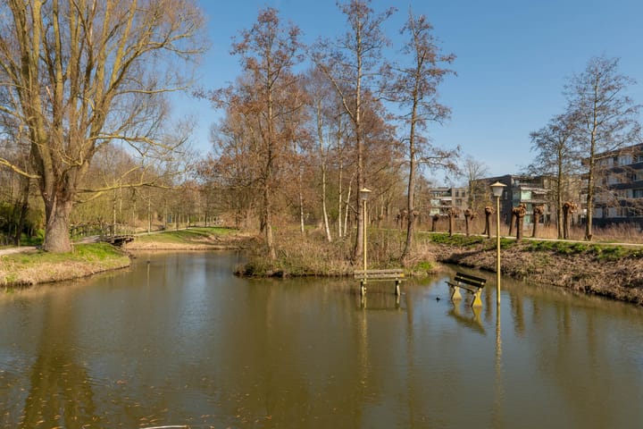 Foto 36 van IJsvogel 18