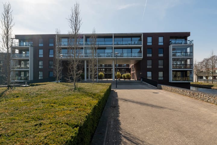 Foto 39 van IJsvogel 18