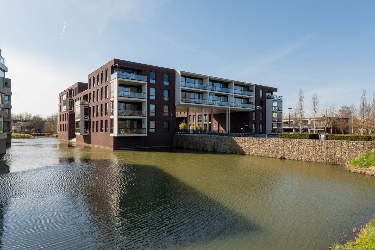 Foto 40 van IJsvogel 18