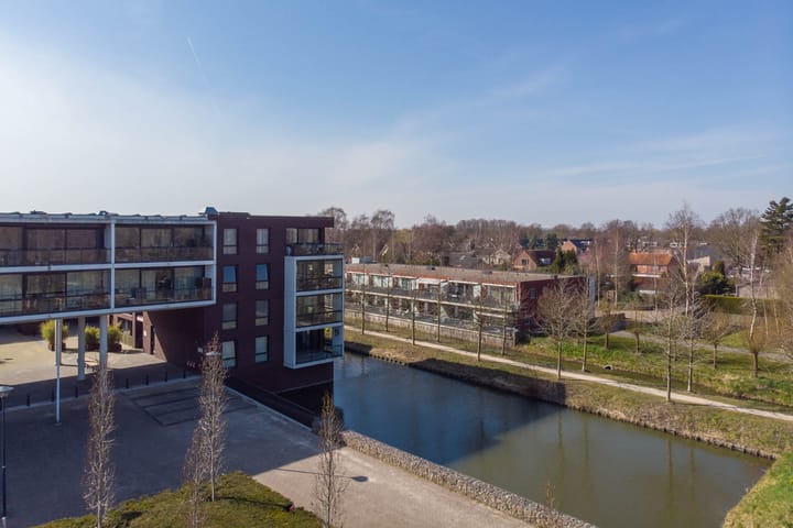 Foto 41 van IJsvogel 18