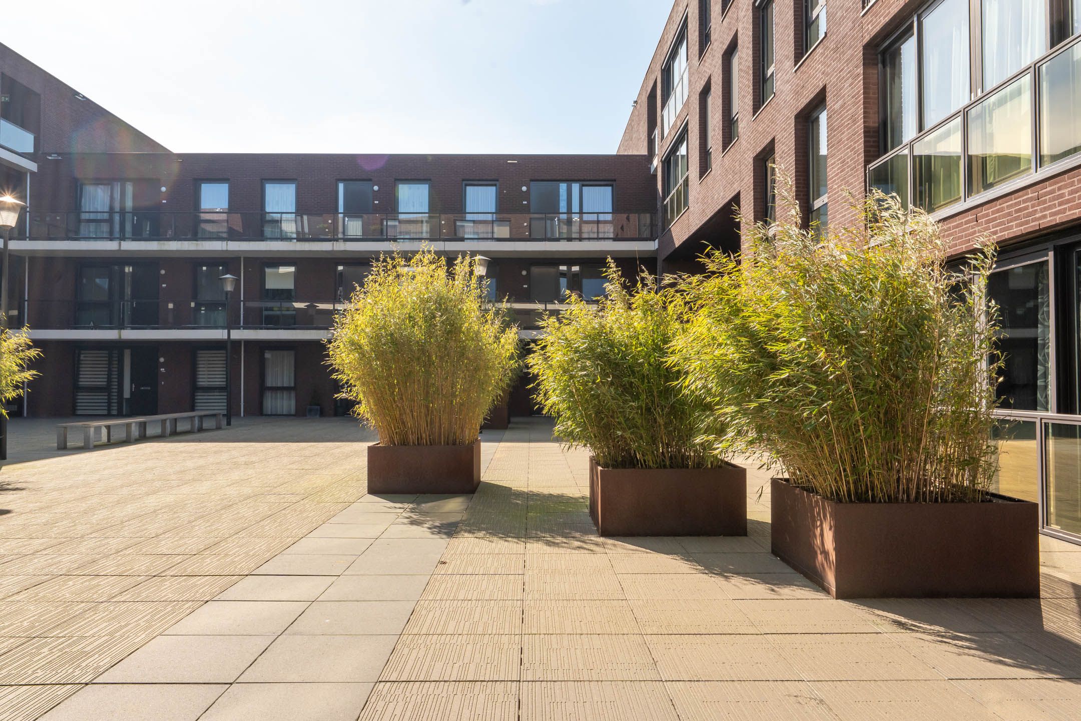 Foto 42 van IJsvogel 18