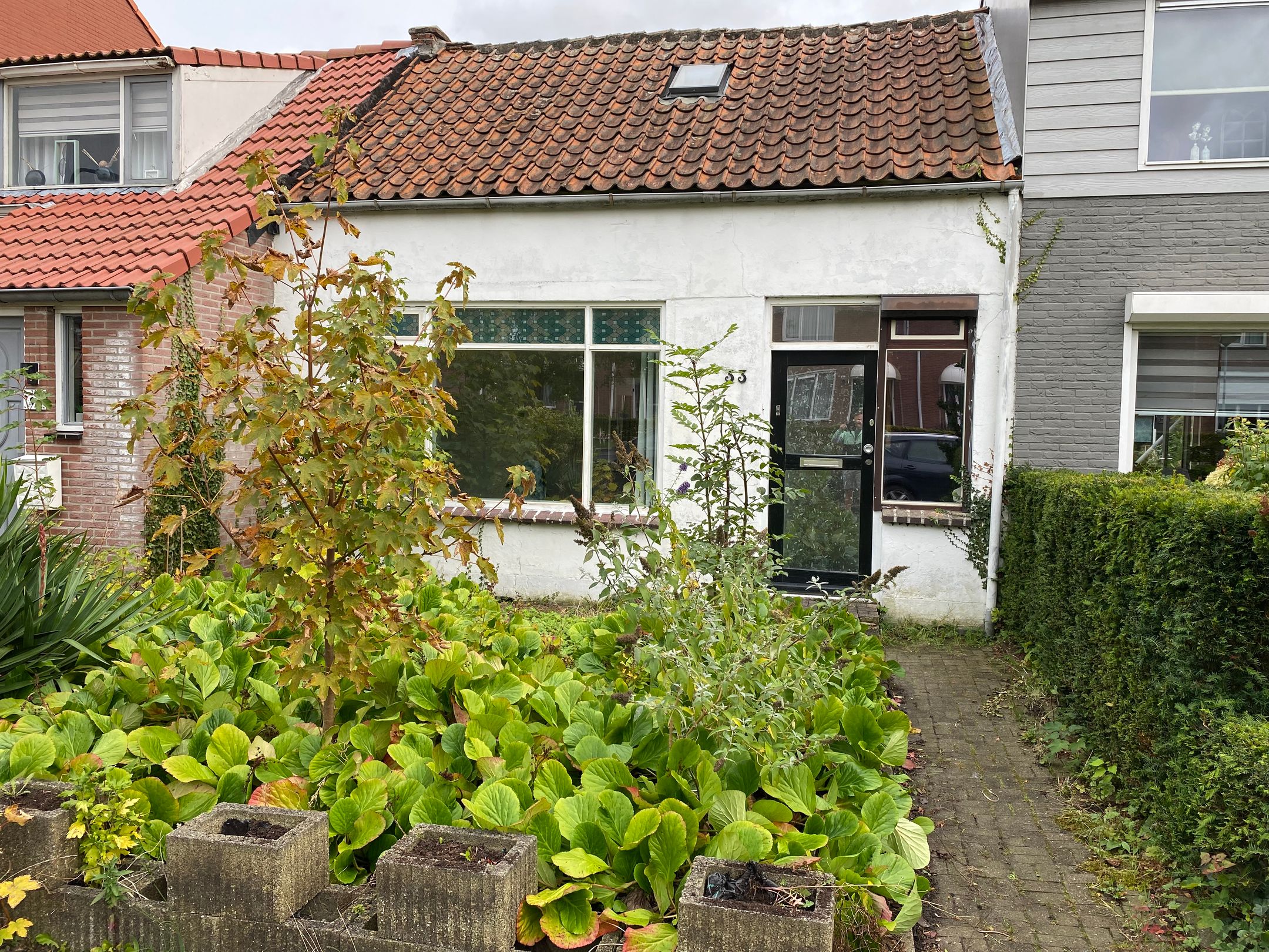 Foto 3 van Oostsingel 33