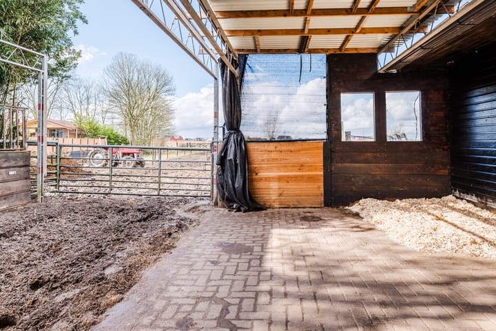 Foto 27 van Molenstreek 8