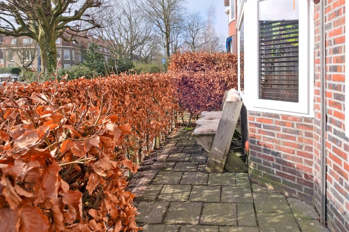 Foto 48 van Helper Brink 32