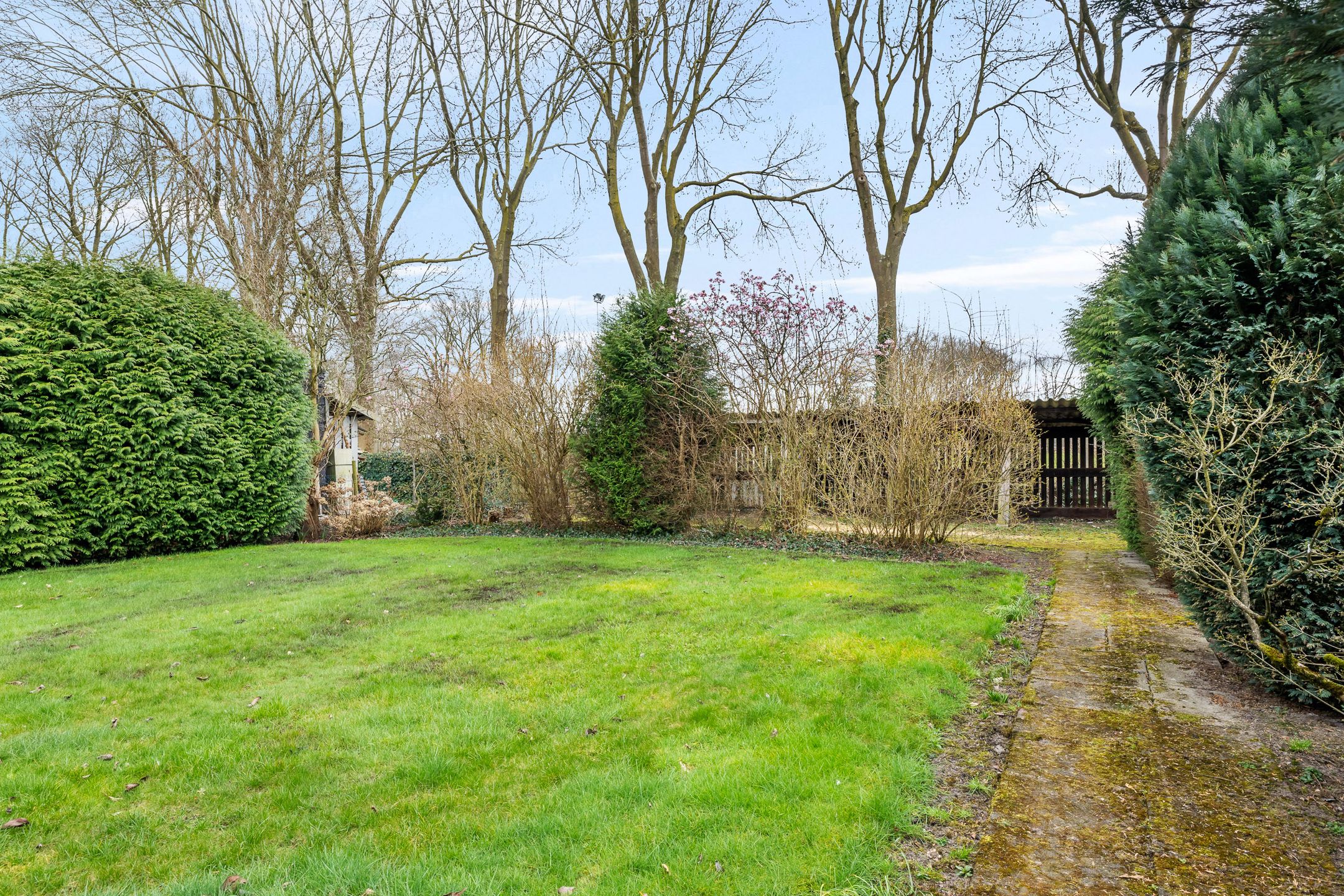 Foto 33 van Balledonk 14