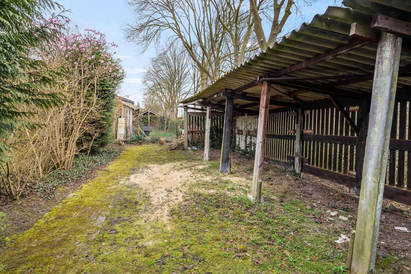 Foto 34 van Balledonk 14