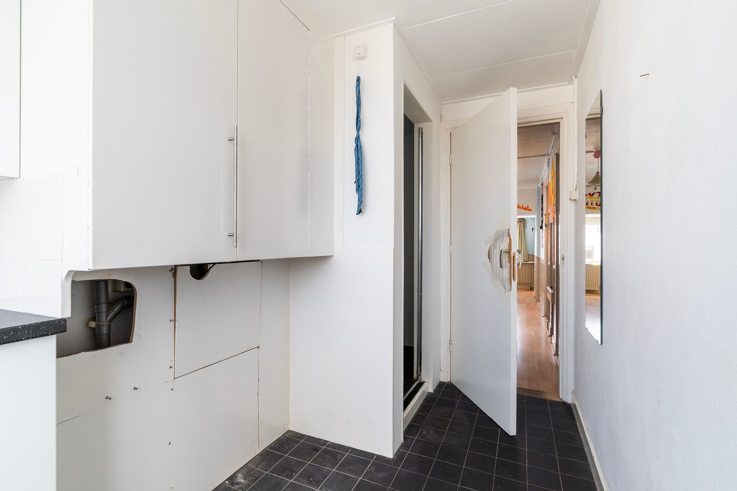 Foto 25 van Hugo de Grootstraat 244