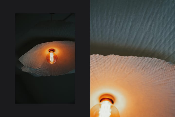 Photo 22 of Maximahof 4