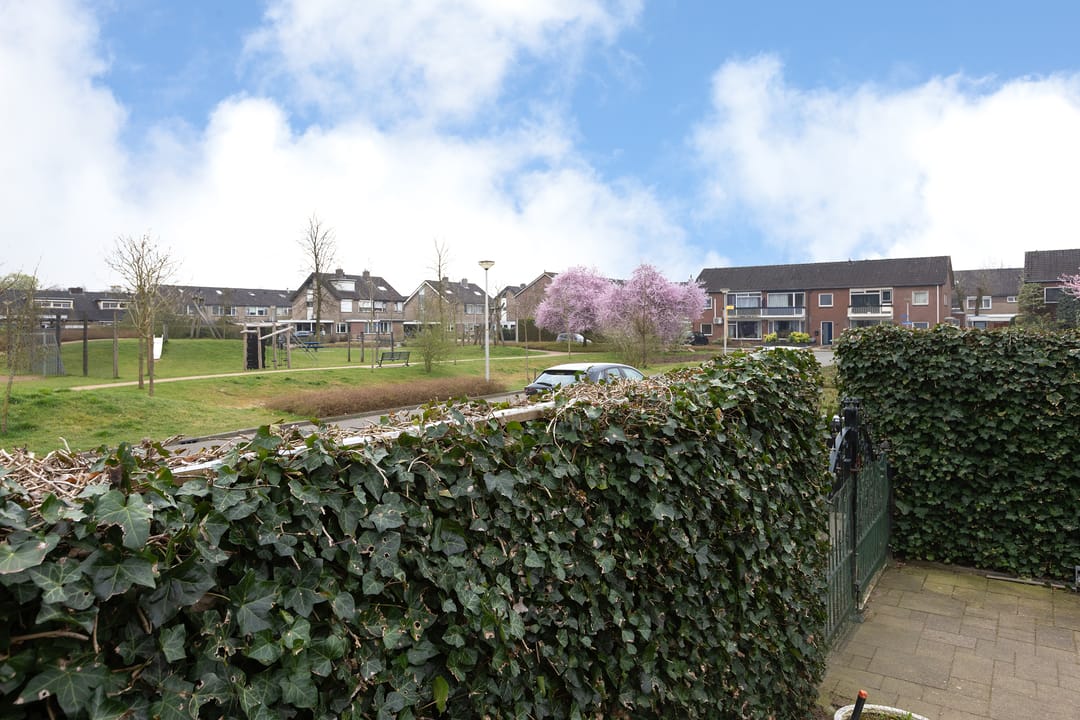 Foto 31 van Kastanjelaan 1