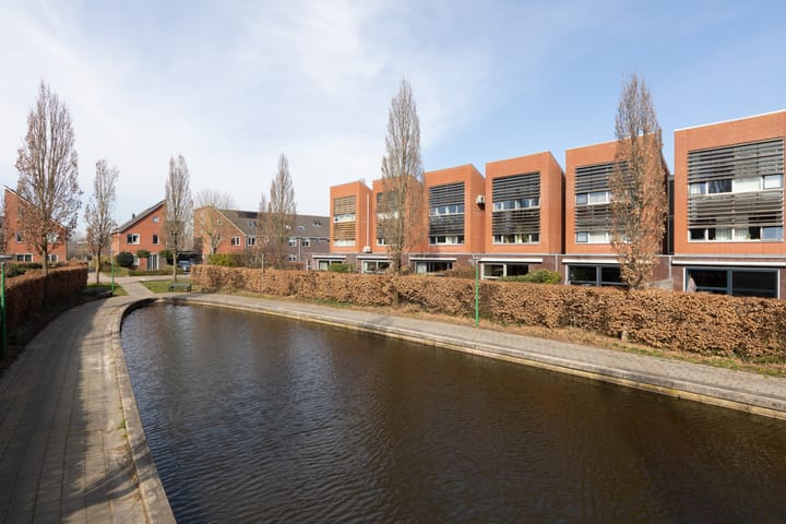 Foto 2 van Citroenvlinder 4