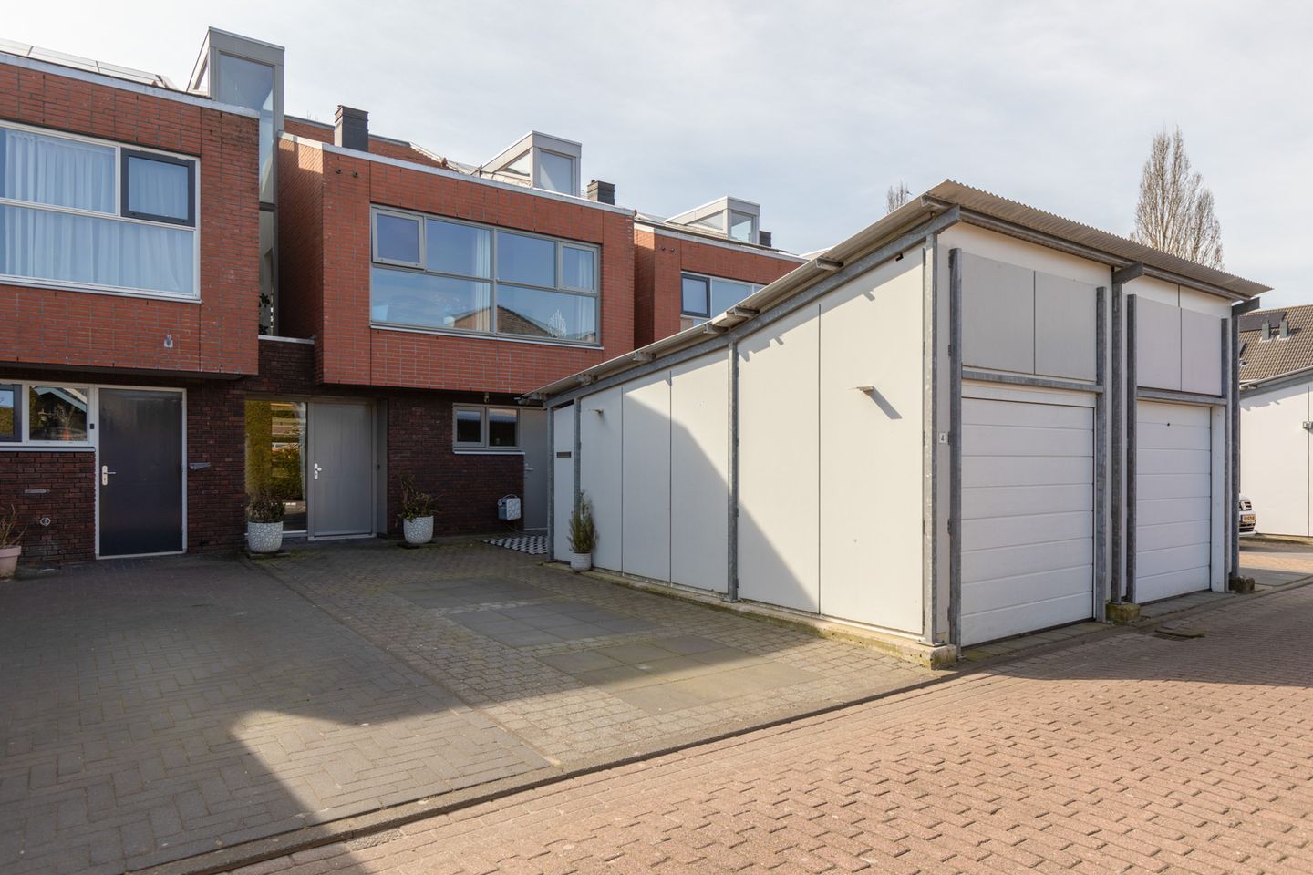 Foto 49 van Citroenvlinder 4