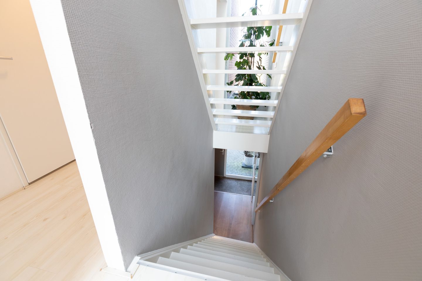 Foto 19 van Citroenvlinder 4