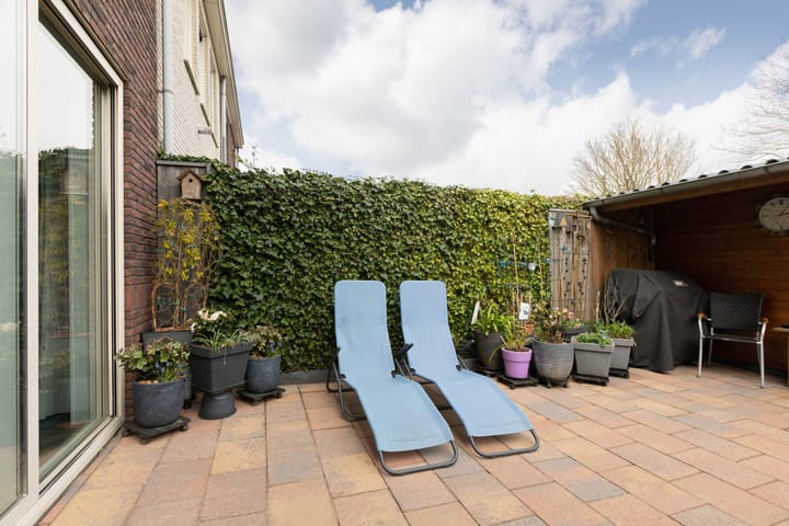 Foto 32 van Waterbassin 6