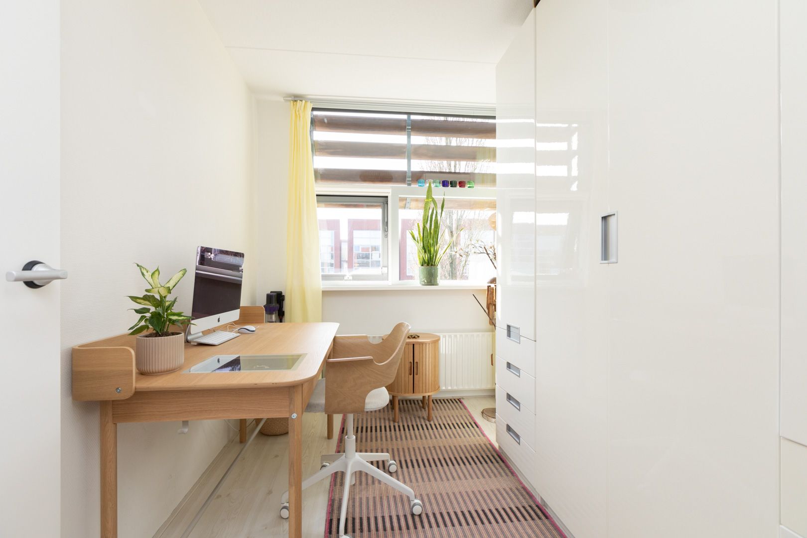 Foto 30 van Citroenvlinder 4