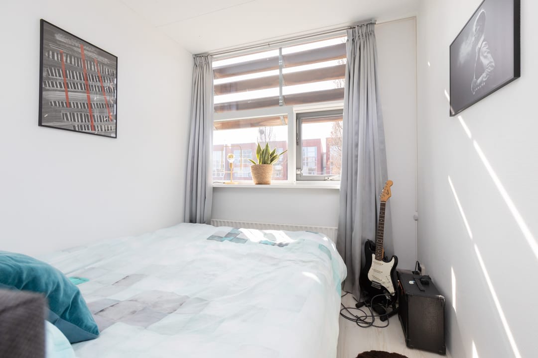 Foto 31 van Citroenvlinder 4