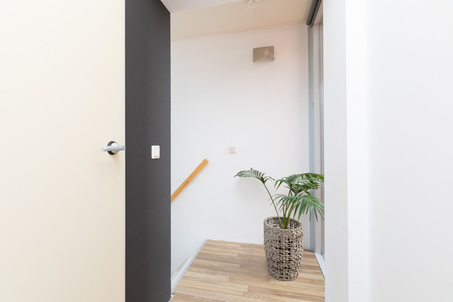 Foto 35 van Citroenvlinder 4