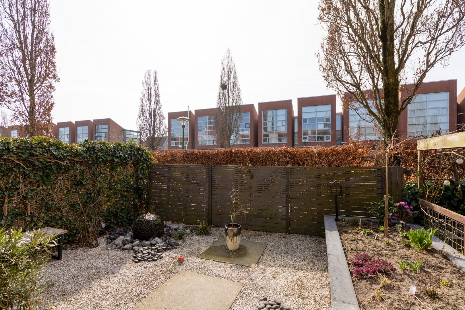 Foto 42 van Citroenvlinder 4