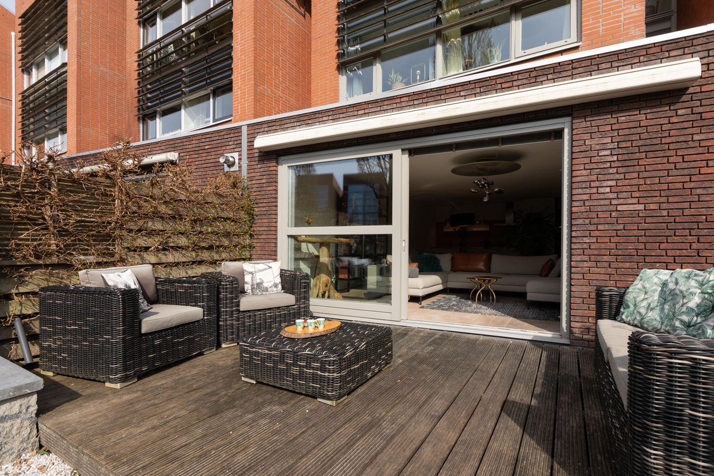 Foto 44 van Citroenvlinder 4