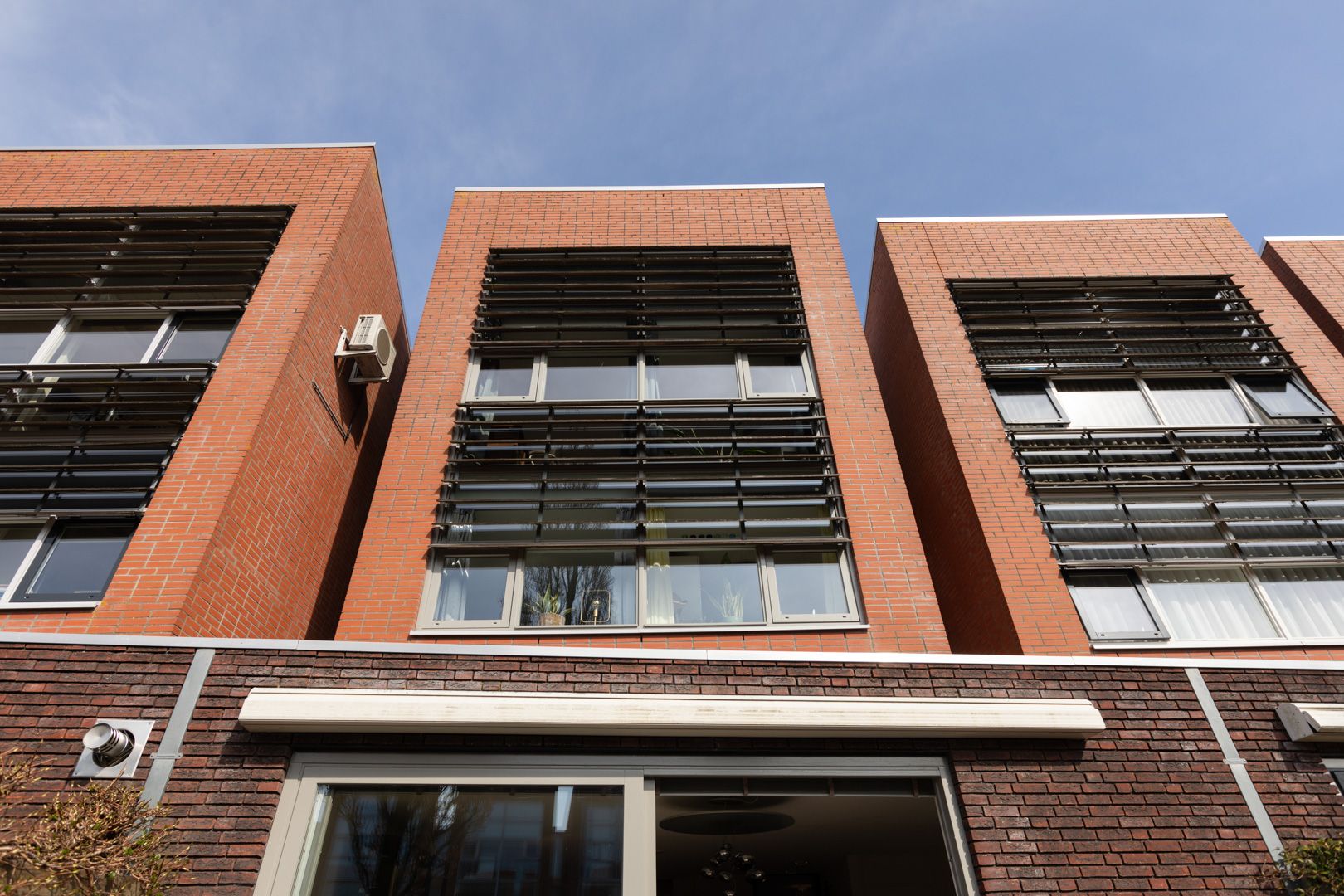 Foto 45 van Citroenvlinder 4