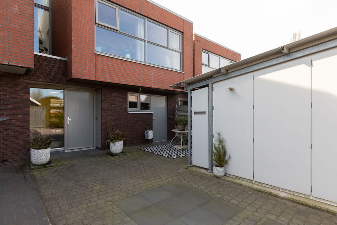 Foto 46 van Citroenvlinder 4