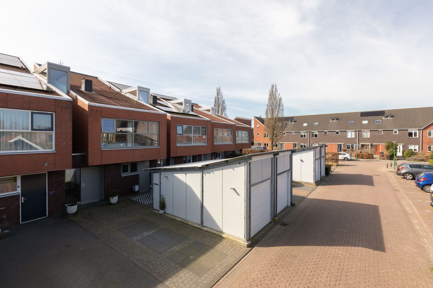 Foto 50 van Citroenvlinder 4