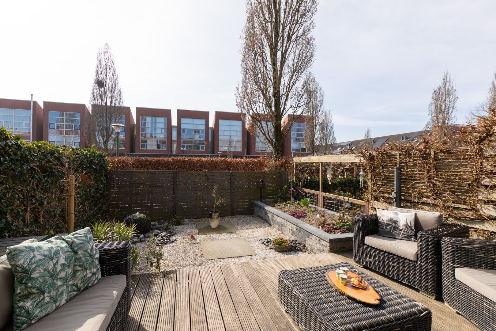 Foto 51 van Citroenvlinder 4