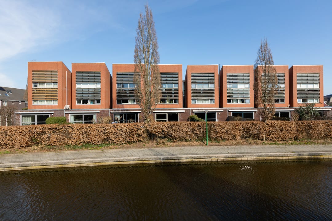 Foto 52 van Citroenvlinder 4