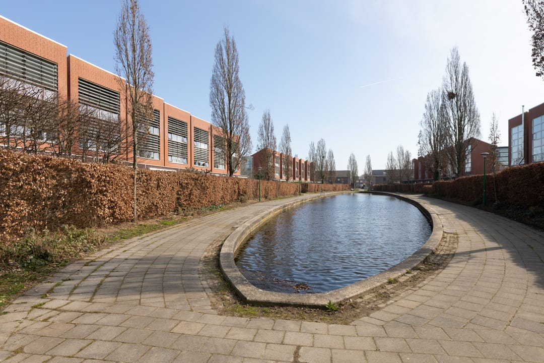 Foto 53 van Citroenvlinder 4