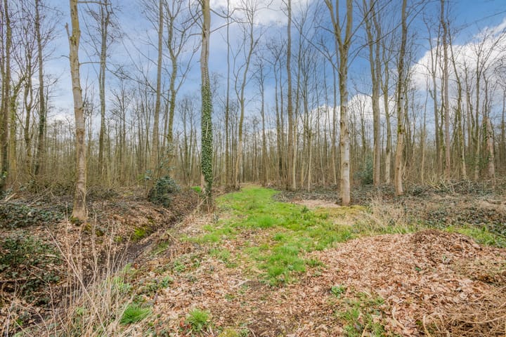 Foto 66 van Mr. Harm Smeengeweg 40