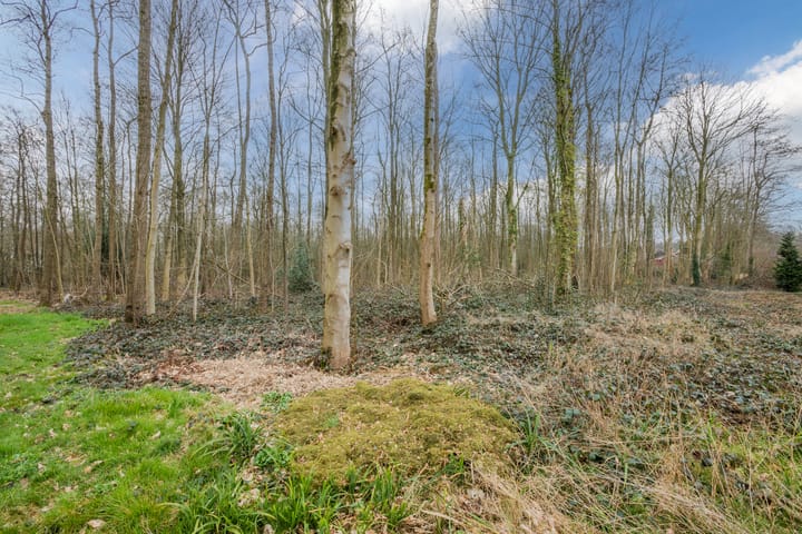 Foto 67 van Mr. Harm Smeengeweg 40