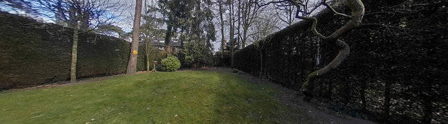 Achtertuin